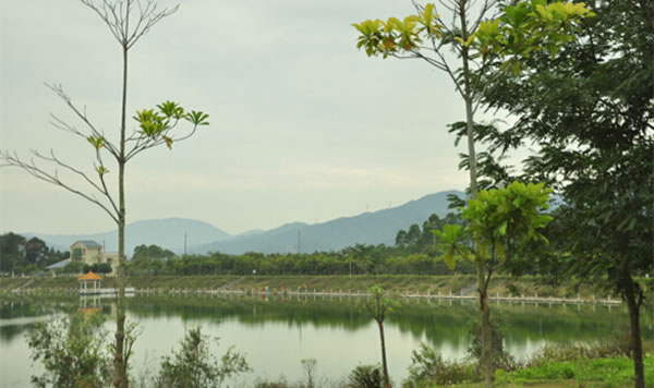 風(fēng)景